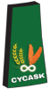 CYCASK logo web