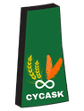 Child and Youth Care Association of SK
